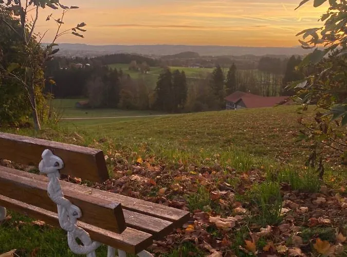 Gut Buchenhof *