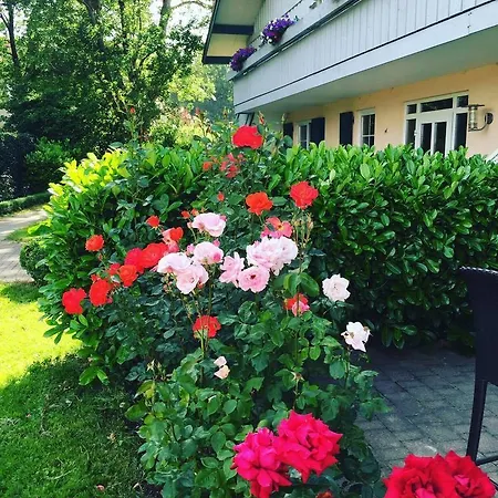 Gut Buchenhof